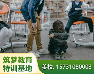 安阳孩子厌学休学叛逆